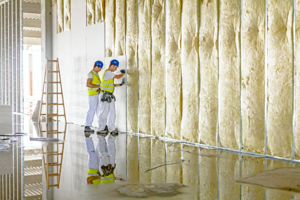 Best Types of Insulation in Big Lake, WA